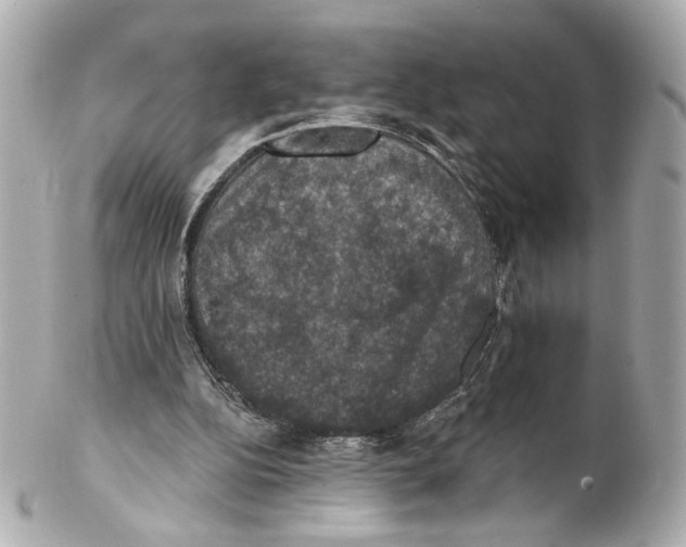 X0000102040152200808151414