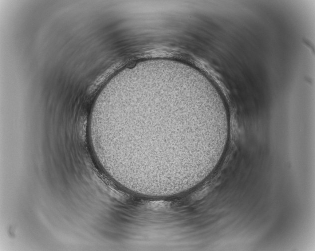 X0000102040153200808151414