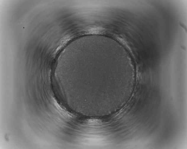 X0000102040154200808151414