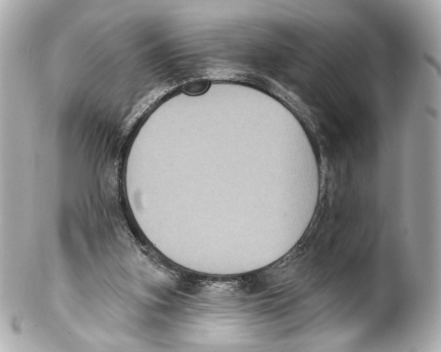 X0000102040155200808151414