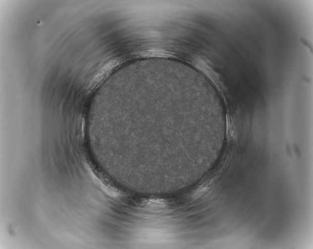 X0000102040157200808151414