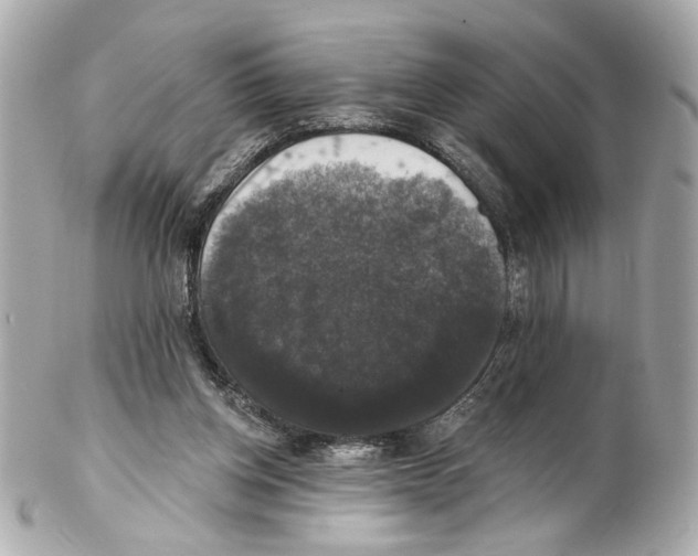 X0000102040158200808151414