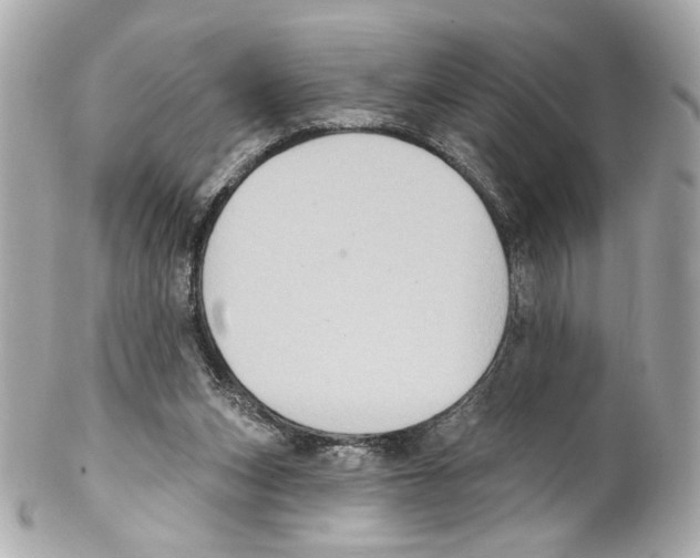 X0000102040159200808151414
