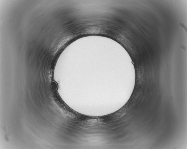 X0000102040160200808151414