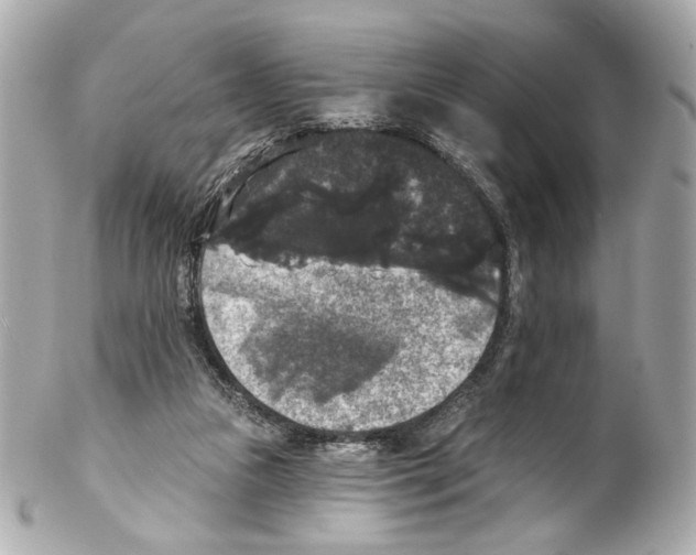 X0000102040161200808151414