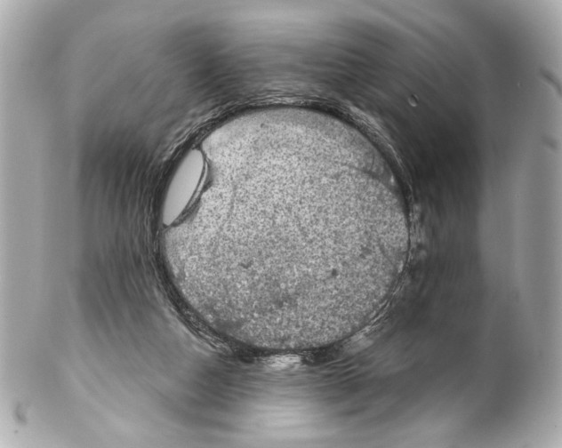 X0000102040162200808151414