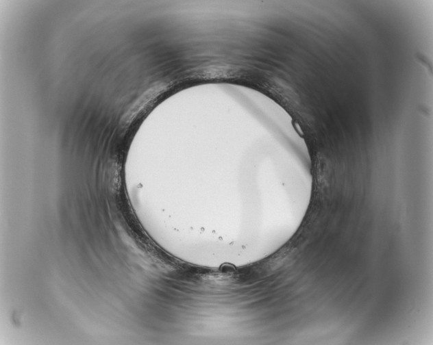 X0000102040164200808151414