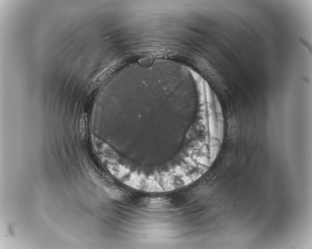 X0000102040165200808151414