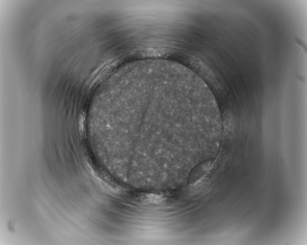 X0000102040166200808151414