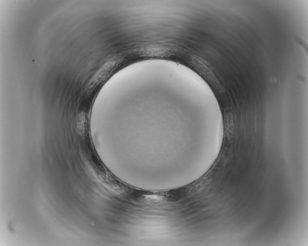 X0000102040167200808151415