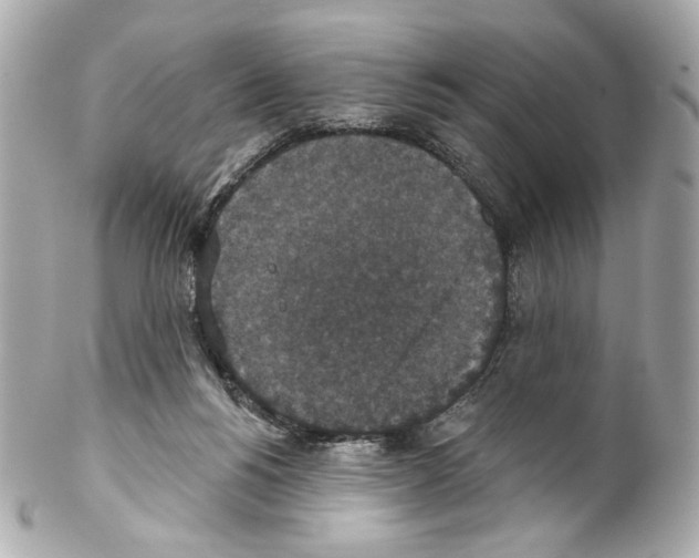 X0000102040168200808151415