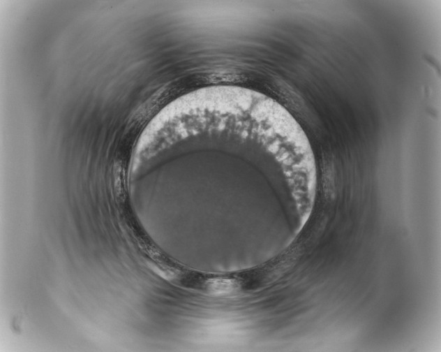 X0000102040169200808151415