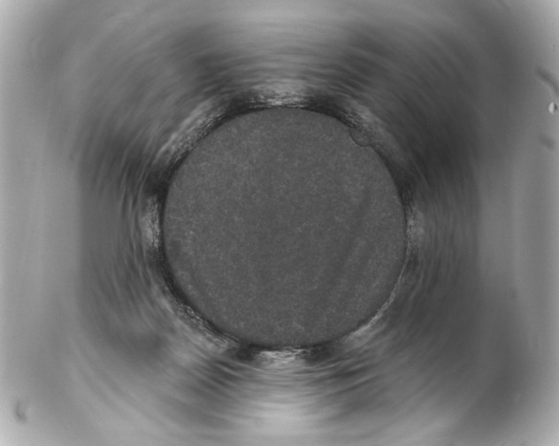X0000102040170200808151415