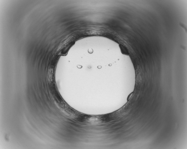 X0000102040171200808151415
