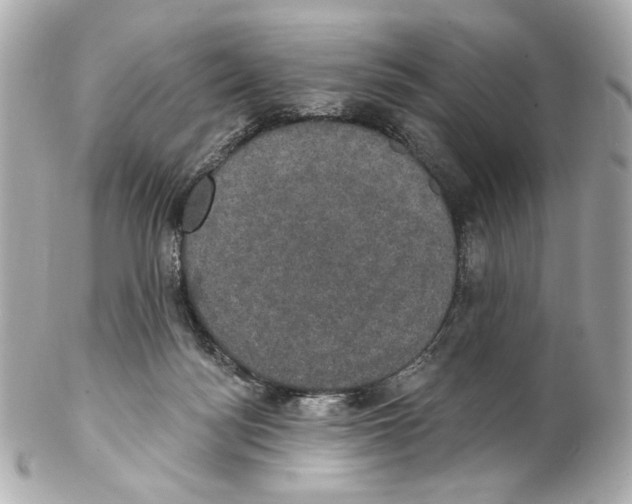 X0000102040172200808151415