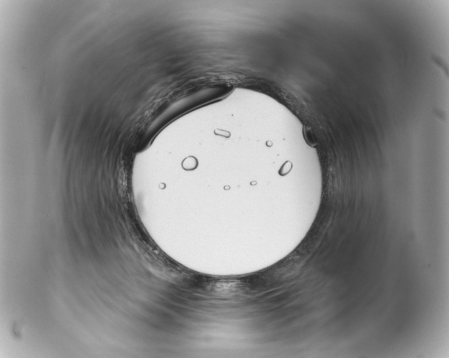X0000102040173200808151415