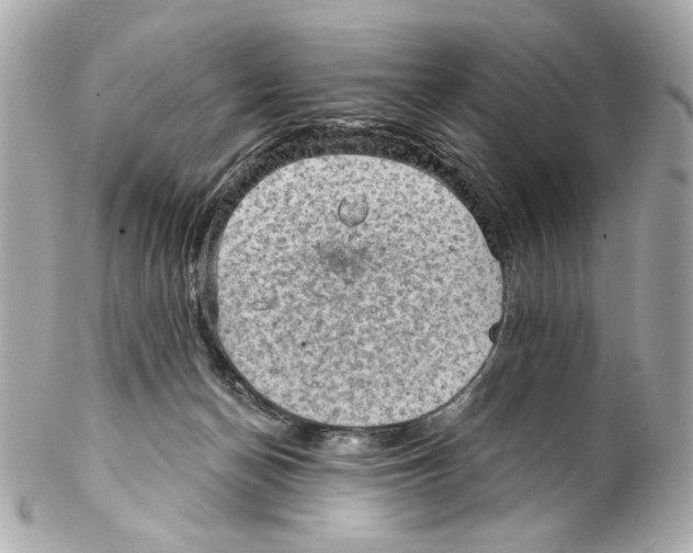 X0000102040174200808151415