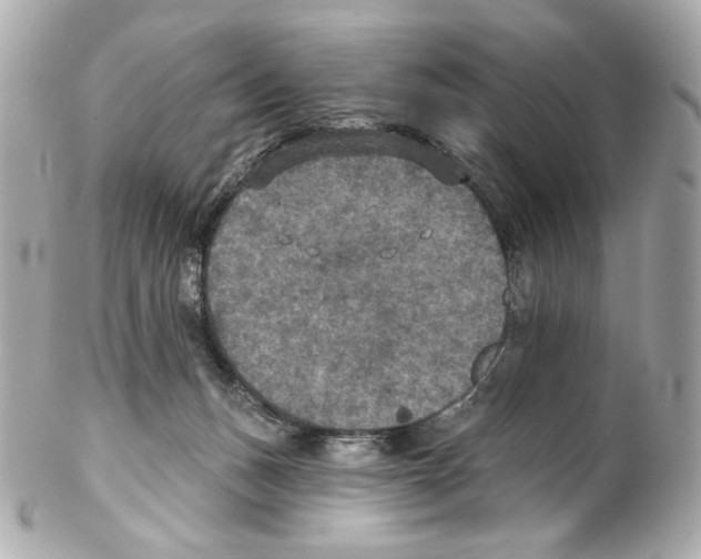 X0000102040175200808151415