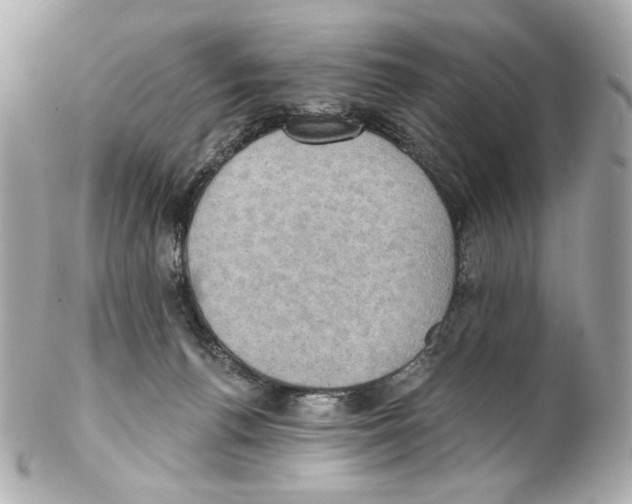 X0000102040176200808151415