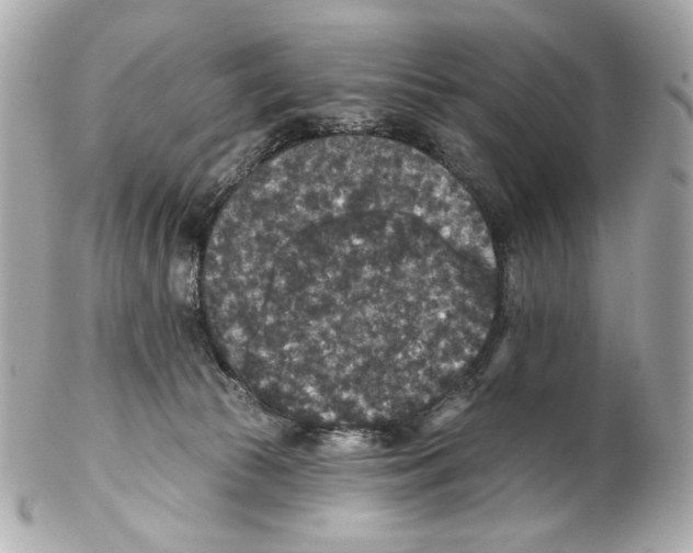 X0000102040177200808151415