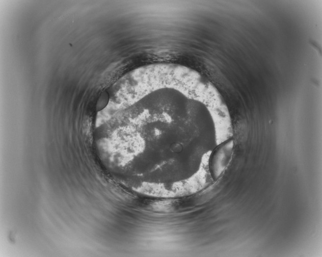 X0000102040178200808151415