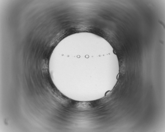 X0000102040179200808151415