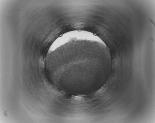 X0000102040180200808151415