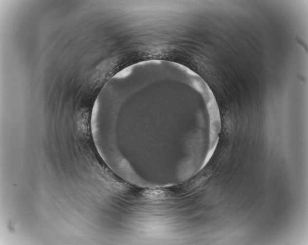 X0000102040181200808151415