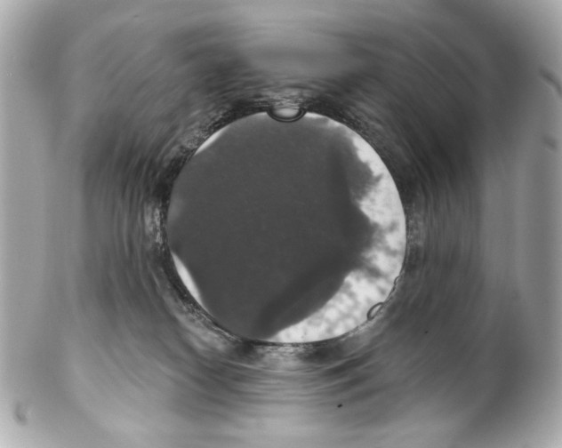 X0000102040182200808151415