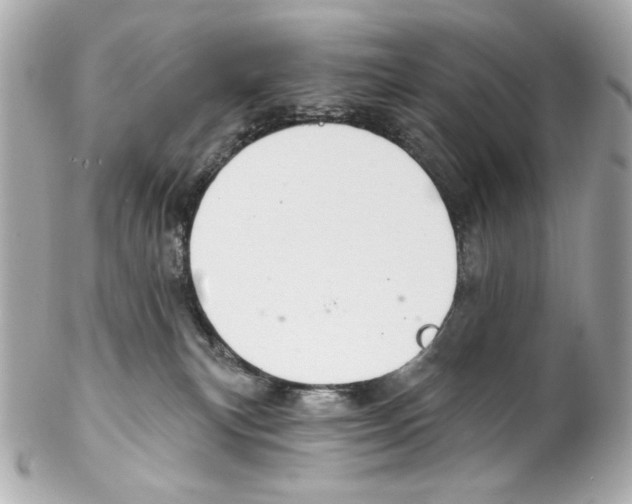 X0000102040183200808151415