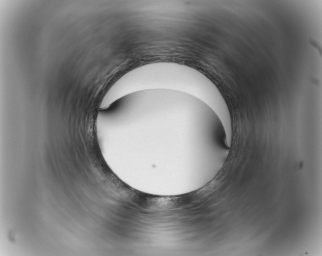 X0000102040184200808151415