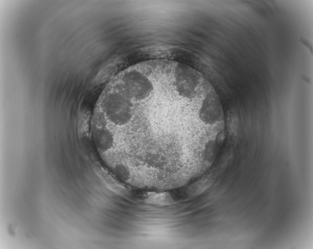 X0000102040185200808151415