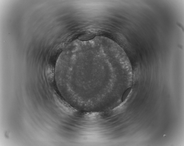 X0000102040186200808151415
