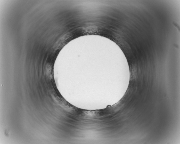 X0000102040187200808151415