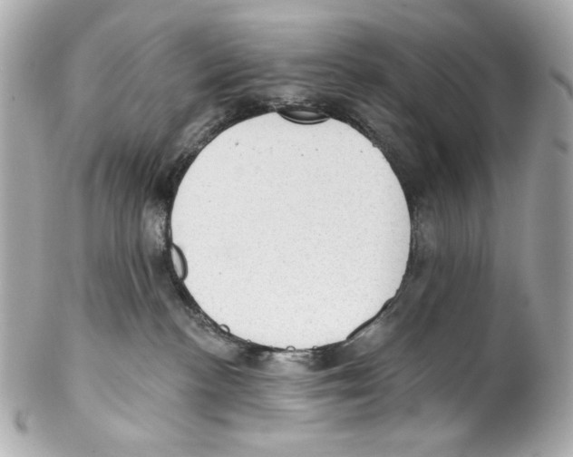 X0000102040188200808151415
