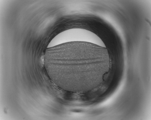 X0000102040190200808151415