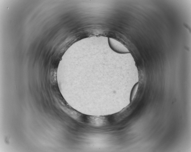 X0000102040191200808151415