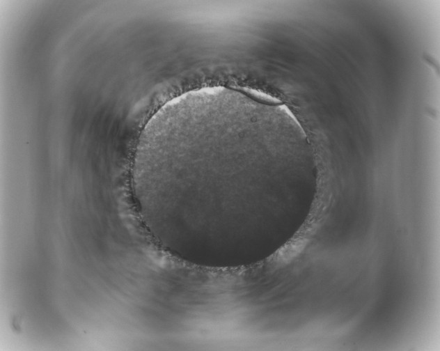 X0000102040192200808151415