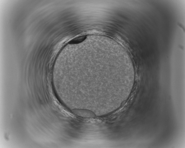 X0000102040193200808151414