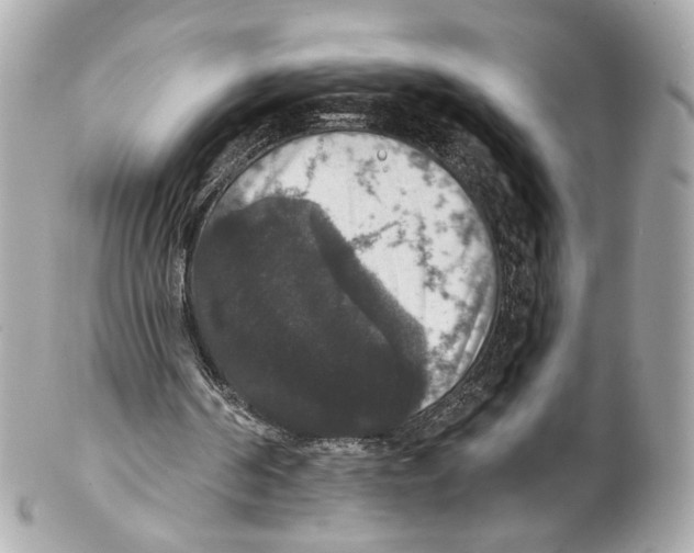 X0000102040194200808151414