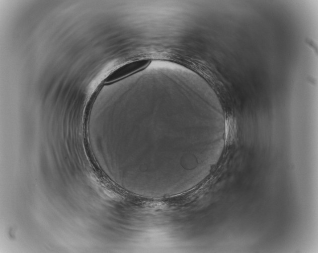 X0000102040195200808151414