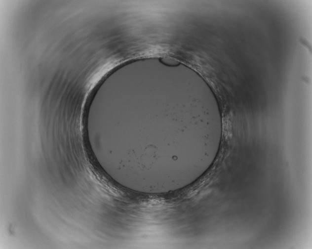 X0000102040196200808151414