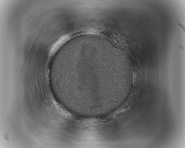X0000102040197200808151414