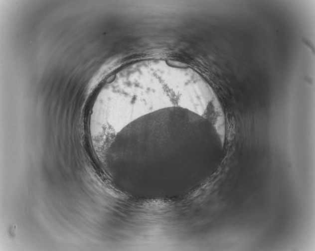 X0000102040198200808151414