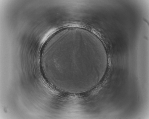 X0000102040199200808151414