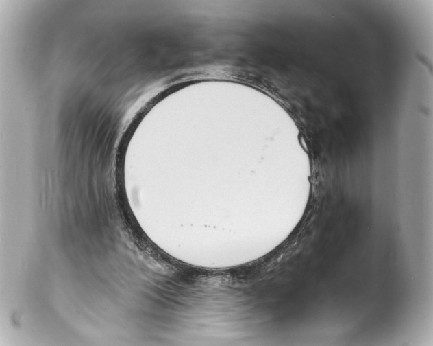 X0000102040200200808151414
