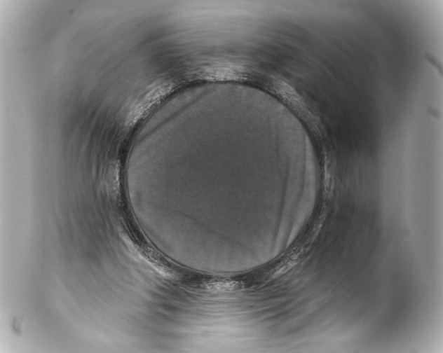 X0000102040202200808151414
