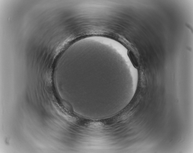 X0000102040203200808151414