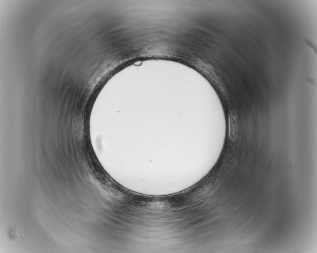X0000102040204200808151414
