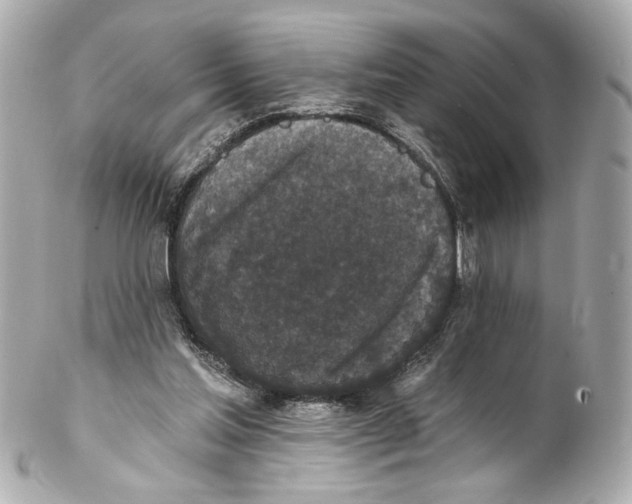 X0000102040205200808151414